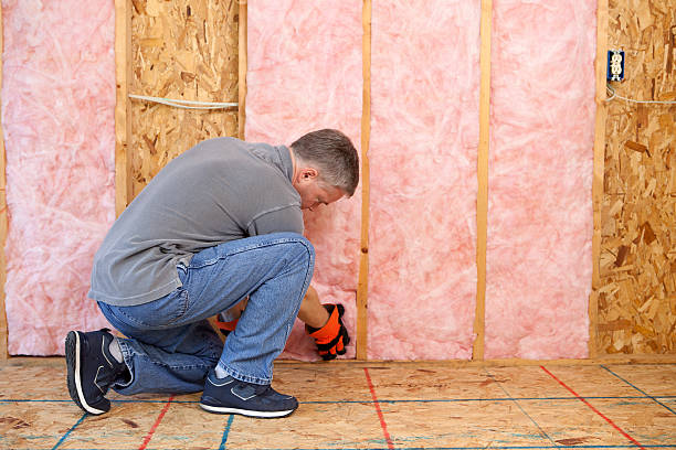 Best Basement Insulation  in Breese, IL